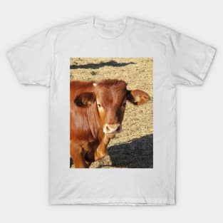 Bucky The Bull T-Shirt